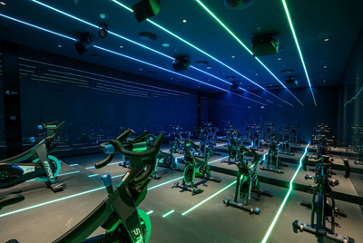 Wellfit Sport Society — portfolio project