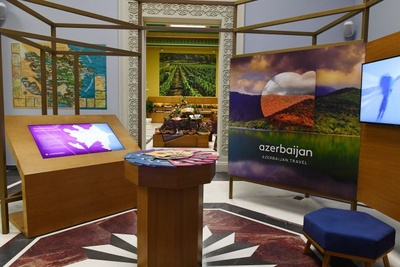 COP29 — portfolio project