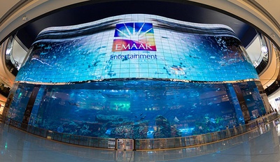 The Dubai Mall — portfolio project