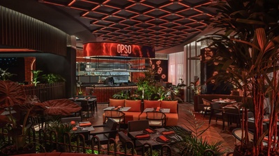 Opso — portfolio project
