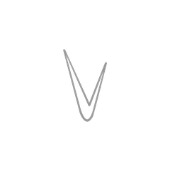 Vision Video logo
