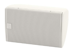 Martin Audio CDD12W